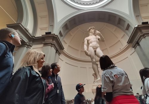 Tours of Michelangelo's David in Accademia