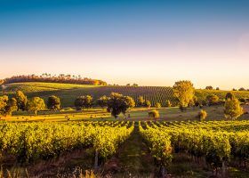 Best Vineyards to visit in Bordeaux France